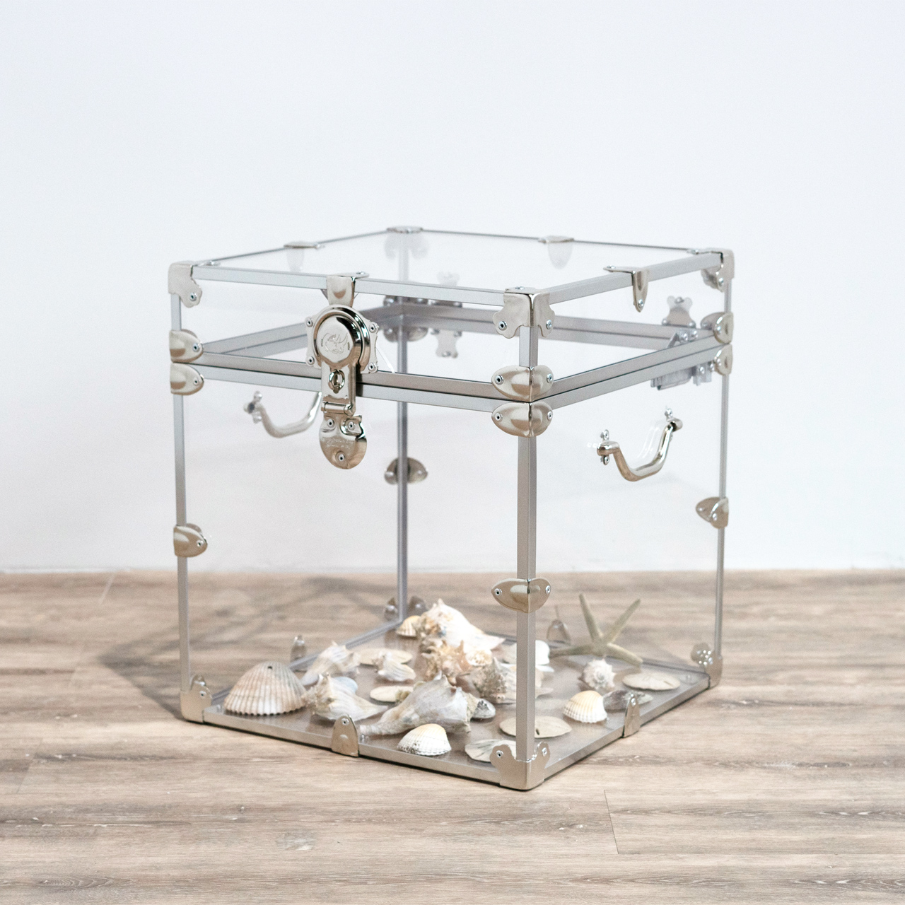 Rhino Acrylic Cube Trunk