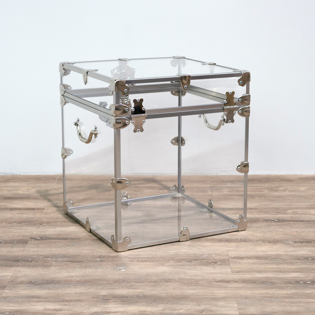 Rhino Acrylic Cube Trunk