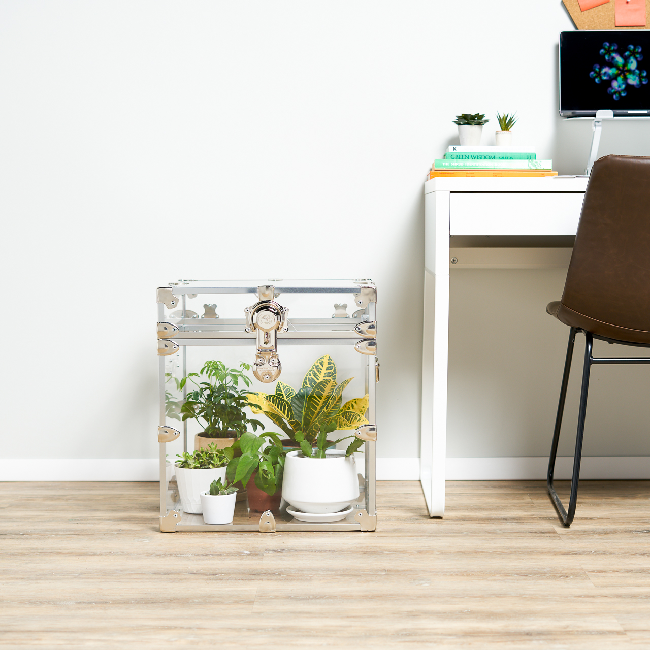 Rhino Acrylic Cube Trunk