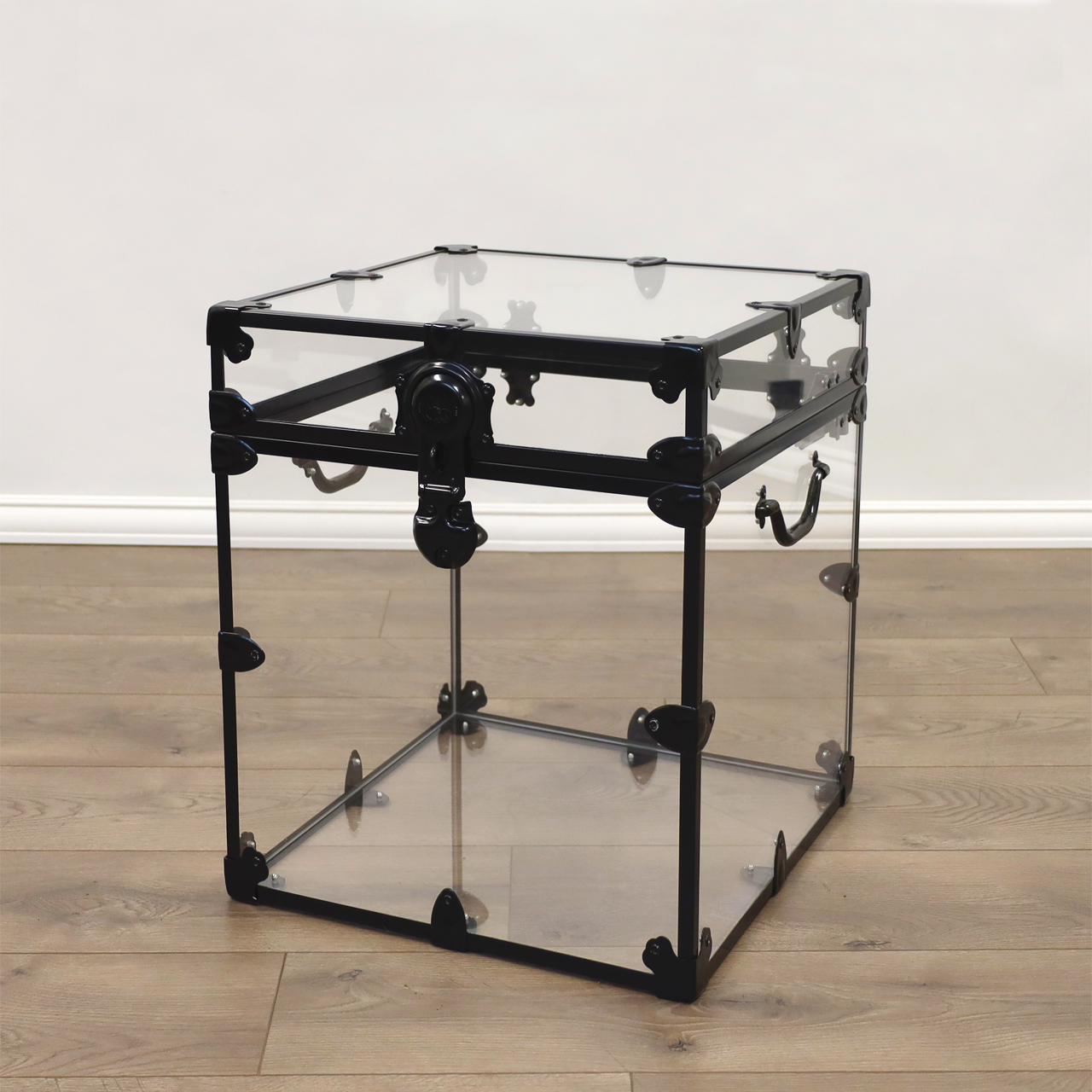 Rhino Acrylic Cube Trunk