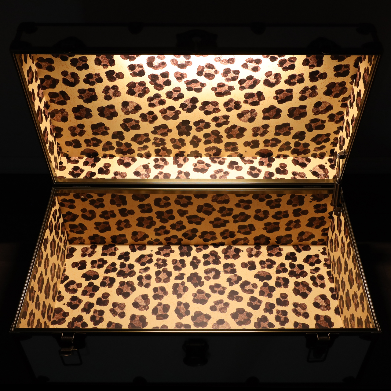 Small Naked Rhino Trunk | Rhino Trunk & Case