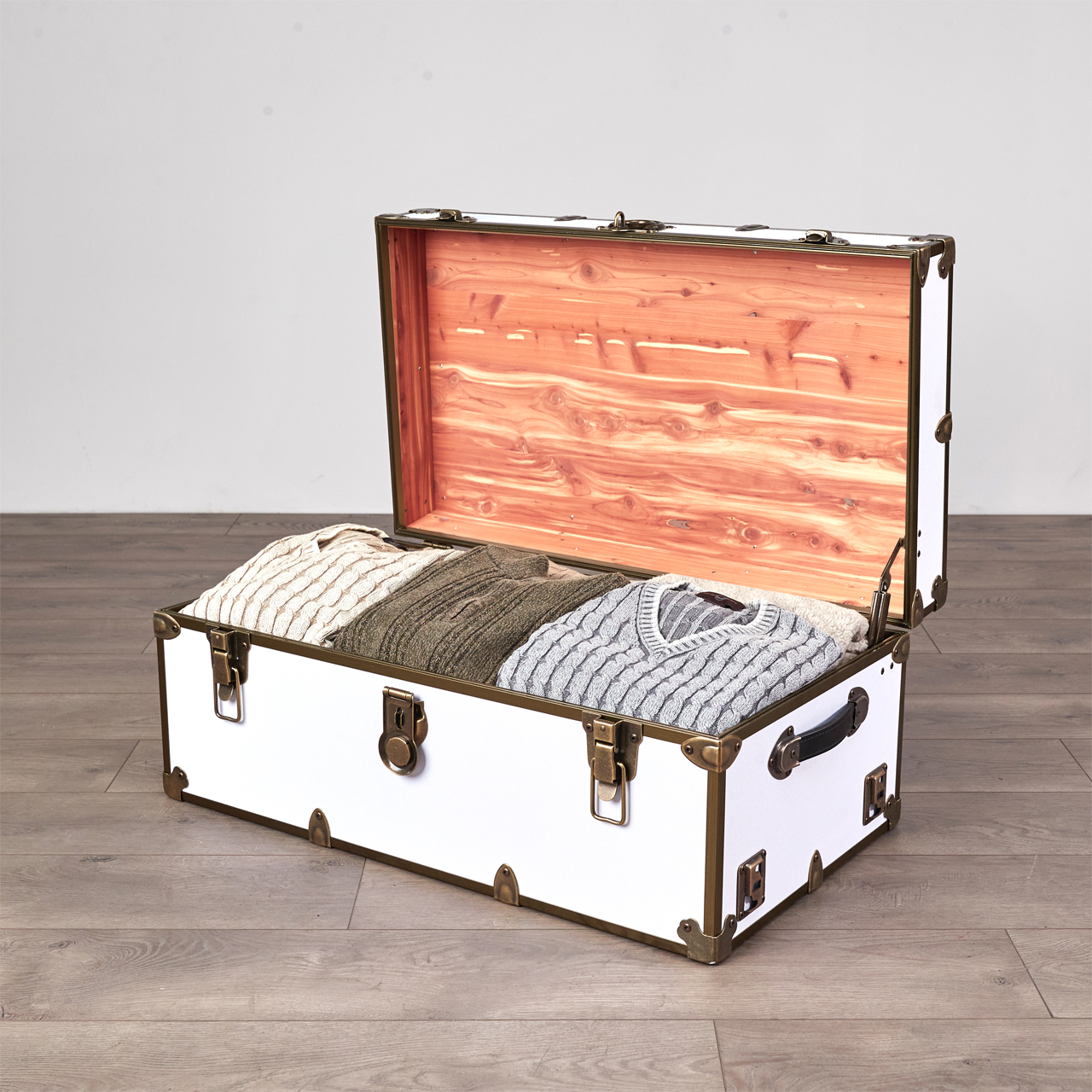 Embossed Vinyl Trunk Large, Black With Antique Brass Trim - Rhino Trunk &  Case Bookcases & Toy Chests