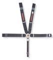 Pyrotect 5Point CamLock Harness - 3in-2in Upper Shoulder Belts - Pull Down Style - SFI 16-1 Rated H352210PD Pyrotect 5Point CamLock Harness - 3in-2in Upper Shoulder Belts - Pull Down Style - SFI 16-1 Rated H352210PD