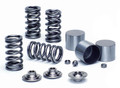 Supertech Performance Valve Spring Kit - Single Valve Springs - Springs: SPR-2081 (24) - Retainers: RET-NVG1015/T1 (24) - Also Requires OEM Seat SPRK-2081-SP Supertech Performance Valve Spring Kit - Single Valve Springs - Springs: SPR-2081 (24) - Retainers: RET-NVG1015/T1 (24) - Also Requires OEM Seat SPRK-2081-SP