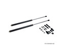P2M HONDA S2000 (AP1/AP2) CARBON ENGINE HOOD DAMPER P2M HONDA S2000 (AP1/AP2) CARBON ENGINE HOOD DAMPER
