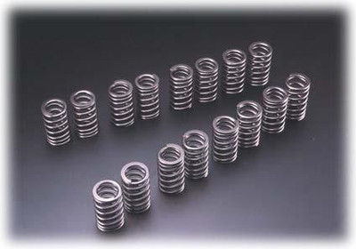 Tomei Valve Spring 13203R410