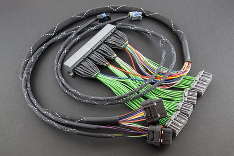 Boomslang Fabrication Haltech Elite 750 Series PNP Harness BF25130-750