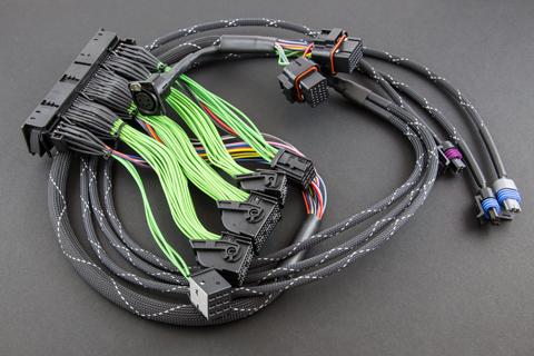 Boomslang Fabrication MoTeC M130 Series PNP Harness BF24124-M130