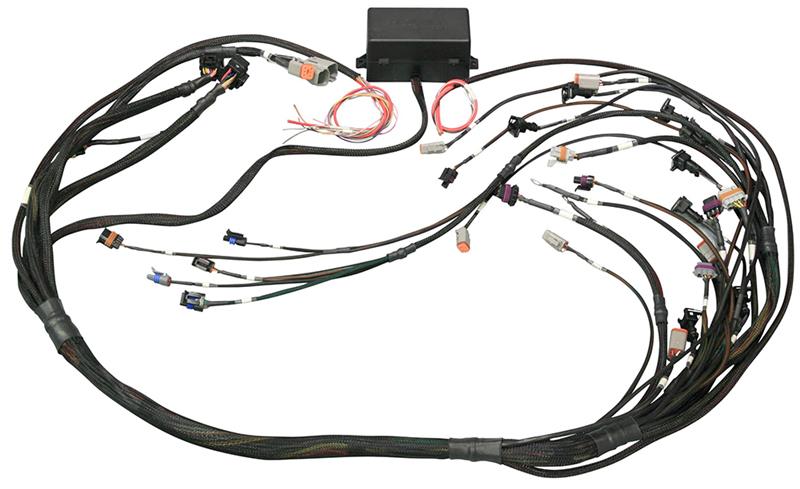 Elite 2500 Terminated Harness Only HT-141360