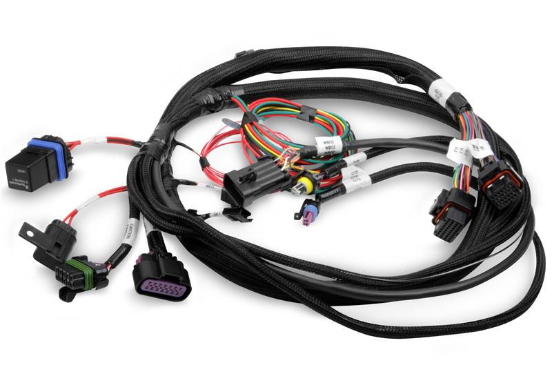 Crank/Cam Ign Harness For Ferrous Crank/Magnetic Cam Hall Effect Sensors - Fully terminated 558-431