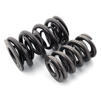 Ferrea Per Spring - Must Use Ferrea E11011 + SL1001 S10033