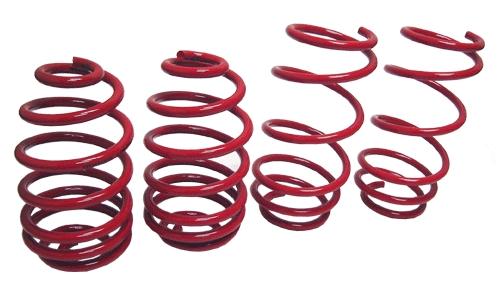 Megan Racing Euro Version Lowering Spring MR-LS-BE36