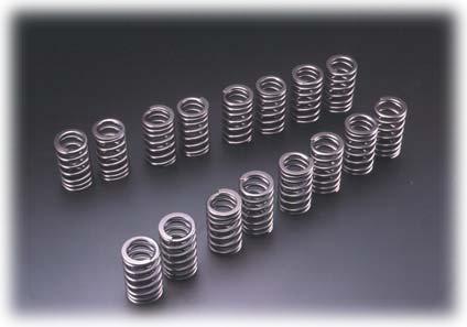 Tomei Valve Spring 13203R800