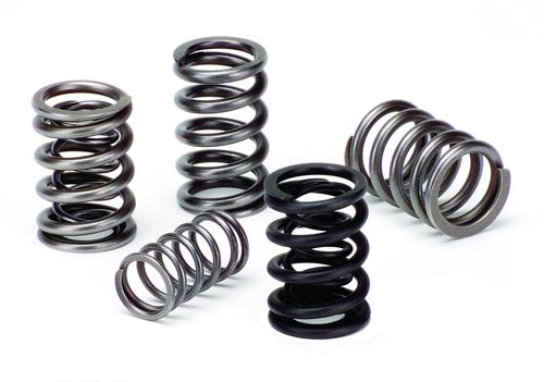 Supertech Performance Dual Valve Spring SPR-H1002D