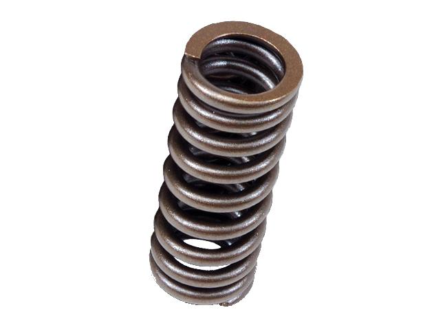 BLOX Racing Dual Valve Spring Kit - Set of 16 BXPT-20301