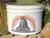 Indian Clay - Magnetic Calcium Bentonite - 20 lbs. Hydrated