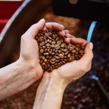 Different Roast Levels of Coffee