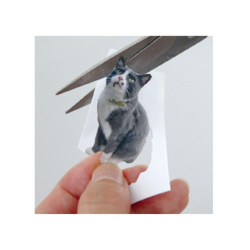 Cut out the design with the white sticker on the back Cut out the design with the white sticker on the back