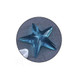 Silicone Mould - Starfish