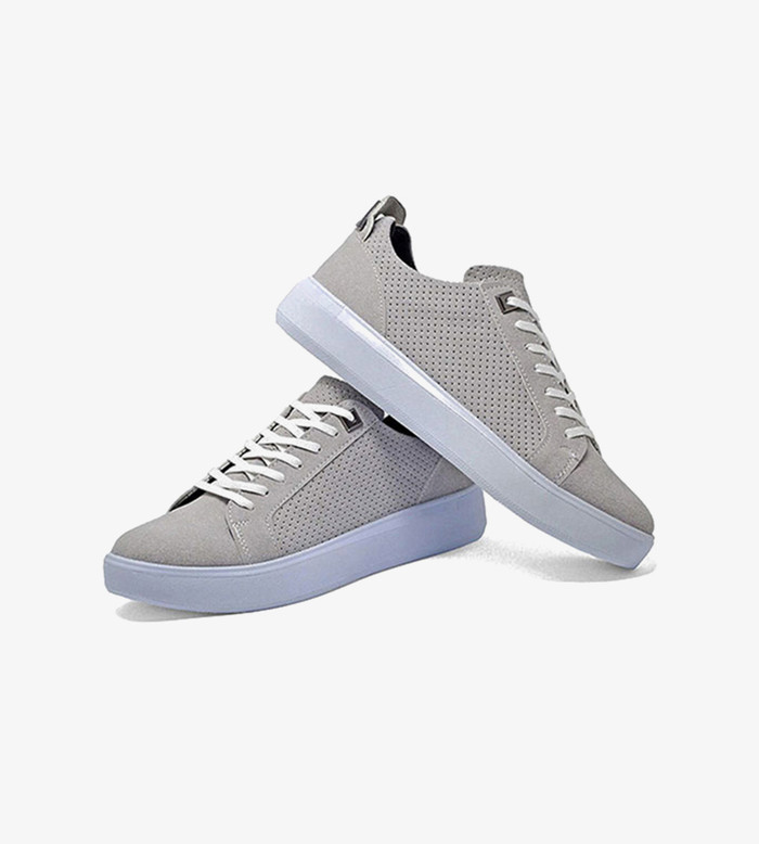 Sed viverra ipsum nunc aliquet bibendum