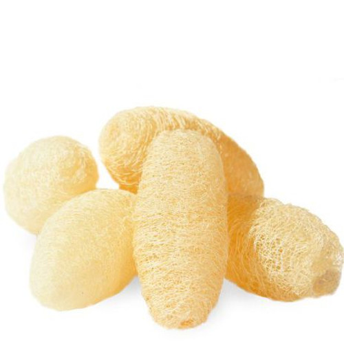 Loofah face scrub (5pcs)

What is a loofah

Loofahs — sometimes spelled luffas — are popular shower accessories
used for cleaning and exfoliating your skin.
Loofah sponge uses and benefits. Loofah sponges
from the luffaplant have historically been used as scrubbers.

Benefits and uses of a loofah include:
using with soap to lather up and cleanse your skin
exfoliating the skin on your body and face
stimulating blood circulation while you shower or bathe
Small loofah scrubs, perfect as part of your daily routine. 