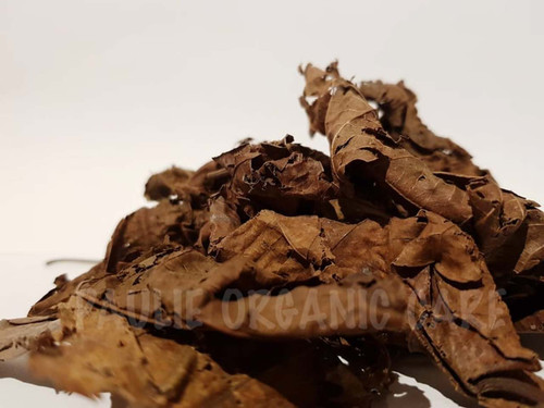 Djéka 100% Original Senegal Dried Leaves for Clamping Jessica :  : Health & Personal Care