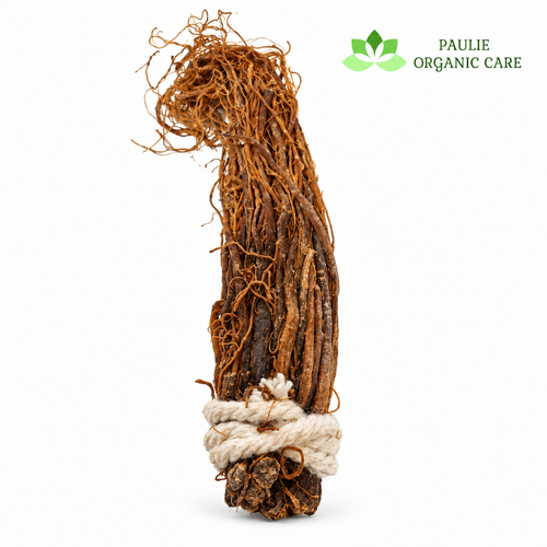 Red Ginseng – Dried Roots 50g
 
Discover red ginseng from Paulie Organic Care, a botanical root with a long history in Asian traditions.
Presented as a tied bundle of dried roots, it can be used in traditional teas, decoctions, and simmered recipes.
Storage: Keep in a cool, dry place, away from direct sunlight.
Precautions: Consult a healthcare professional before use if you take medication or have diabetes.
Not recommended during pregnancy or breastfeeding, or for children.
You can prepare it as a tea, once your supplier confirms the roots are food-grade red ginseng.
The package you showed gives these instructions:
Place 4–5 thin slices in a cup.
Add boiling water.
Cover and steep for 3–5 minutes.
Strain and allow to cool before drinking.
These are the package instructions, not a verified personal dose. For your website, ask the supplier for the serving weight in grams, water quantity, and maximum daily intake slice sizes vary.
Ginseng can cause insomnia, lower blood sugar, and interact with medicines. Check with a pharmacist if you take medication or have diabetes; avoid use during pregnancy or breastfeeding.