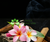 Frangipani Incense Sticks 20g

Made from the intensely fragrant flowers of the Plumeria tree, is highly celebrated in aromatherapy and spiritual rituals. Its distinct profile blends a rich, creamy floral note with subtle, sweet undertones of peach and soft citrus.

Restoring Peace and Energetic Harmony
In traditional aromatic practices, frangipani is burned to shift the energy of a room.
Its soothing vibrations help clear away stagnant or negative vibes, restoring a sense of harmony, emotional balance, and general cheerfulness to your living space.

The Ritual Setup
 
1.Choose the right holder:Prerequisite.
Place your incense stick in a heat-resistant holder or tray. It needs to be long enough to catch all the falling ash, protecting your furniture from hot embers.

2.Light the tip:10–15 seconds.
Hold a match or lighter flame to the coated tip of the stick. Let it catch fire and burn with a visible flame for about 10 to 15 seconds so the core ignites properly.

3.Blow out the flame:Immediate.
Gently blow or fan out the flame. The tip should no longer be on fire, but instead show a glowing red ember and a steady, delicate stream of fragrant smoke.

4.Manage your ventilation:
During the burn.
Set the holder on a flat surface away from direct drafts, curtains, or open windows, but keep a door or window slightly cracked in the room.
A gentle cross-breeze lets the exotic floral aroma circulate beautifully without becoming suffocating.
 