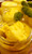 Turmeric / Curcuma butter Soap 100ml
Turmeric has anti-inflammatory, anti-microbial,
and antioxidant effects, which can benefit the skin in many ways
It may help with acne scarring
You may want to try a turmeric butter to help reduce acne and any resulting scars, Glowing skin, Lightens pigmentation.
Anti-aging: Turmeric slows the skin aging process, and is used to diminish wrinkles, keep skin supple, and improve skin’s elasticity.
Turmeric Butter is good for oily skin because it helps regulate the production of sebum, an oily substance produced by the sebaceous glands.
Composition: Glycerin bar, Tumeric organic powder, Turmeric organic oil, tea tree oil, Tiger oil, olive oil, Vitamin E
By Paulie Organic Care