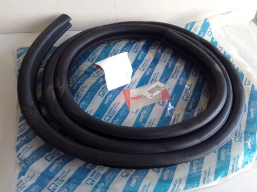 Door Seal Rear Right fits Fiat Punto 46479337 Genuine View Front