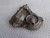 Transmission Rear Cover fits Fiat Duna Fiorino X1/9 128 4400852 Genuine View Right