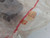 Door Pull Handle Right fits Lancia Delta 176242670 Genuine View Right