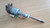 Distributor fits Fiat Panda 4439675 Genuine View Right