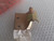 Door Hinge Rear Left fits Alfa Romeo 146 155 60606689 Genuine View Front