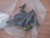 Potentiometer Position Sensor fits Opel Vauxhall Tigra B 93164726 Genuine View Rear