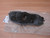 Tail Rear Light Plate Left fits Opel Vauxhall Corsa D Hatchback Van Genuine 93189103 View Rear