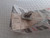 Headliner Clip fits Fiat Punto 735309301 Genuine View Rear