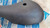 Door Pull Handle Cover Front Right fits Fiat Tipo Tempra 92325380 Genuine View Rear