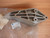 Engine Mount Bracket Front Left fits Opel Vauxhall Vectra B 90498426 Genuine View Rear