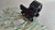Engine Mount Left fits Toyota Corona Carina Ipsum Gaia Avensis 12372-16351 View Front