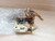 Door Lock Rear Right fits Opel Vauxhall Ascona C Senator Rekord 7997424 Genuine View Rear
