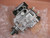 Fuel Pump fits Opel Vauxhall Vectra C Y20DTH 93172234 Genuine View Front