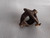 Differential Case Box fits Alfa Romeo Alfetta 60723991 116001720002 Genuine View Close Up Front