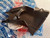 Timing Belt Cover fits Fiat Palio Panda Uno 46781462 Genuine View Rear