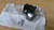 Gear Stick Shaft Wrench fits Peugeot Citroen 253331 Genuine View Right