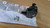 Gear Stick Shaft Wrench fits Peugeot Citroen 253331 Genuine View Rear