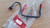 Brake Master Cylinder Line Pipe fits Fiat Palio Siena 46803240 Genuine View Left