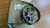 Camshaft Gear Inlet fits Opel Vauxhall 90528768 Genuine View Front