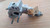 Intake Manifold fits Fiat 127 1050 4349907 Genuine View Rear