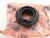 Transmission Gear fits Alfa Romeo 536744 Genuine View Rear